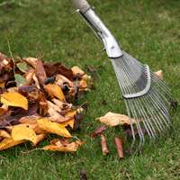 lawn leaf cleanup service in suffolk and nassau county